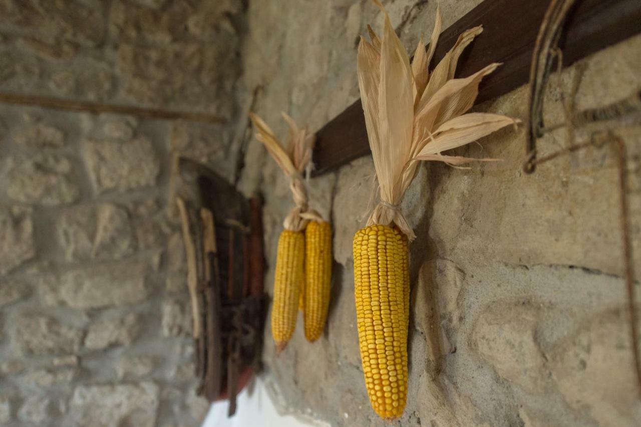 فيلا Fattoria Capobianco مونتيفياسكون المظهر الخارجي الصورة